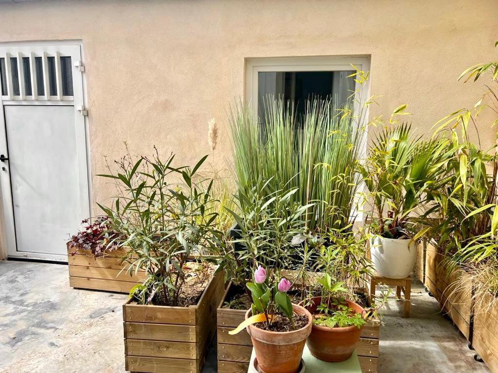 Jolie Mini Maison Lovely Tiny House 圣吉欧梅斯 外观 照片
